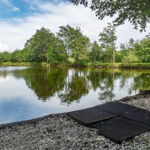 Redwell   17 06 2020   D500   Les 411.jpg